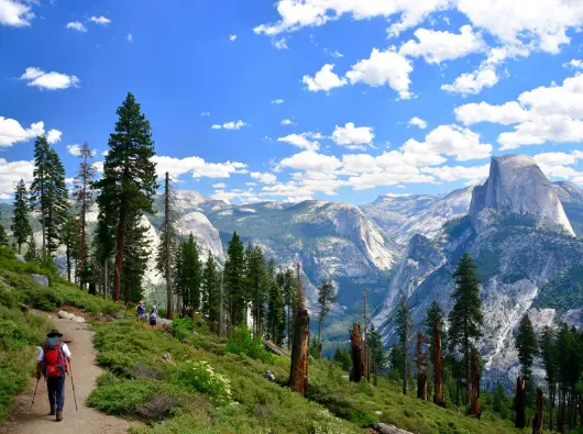 Scenic Yosemite Hiking Trail Overlooking Half Dome Hikers trekking a forested mountain path with panoramic views of Half Dome and granite peaks at Yosemite National Park