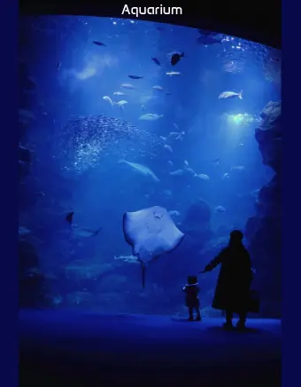 Silhouetted adult and child viewing a large, deep‑blue aquarium tank filled with fish and a graceful ray gliding toward the glass.